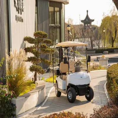 Carrito eléctrico de Golf para 2 pasajeros