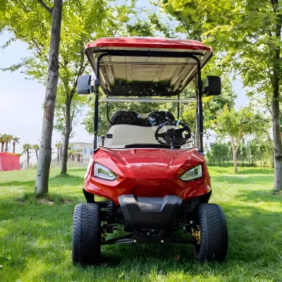 Calle Legal Multifunctional Golf Car FF-Road Club 48V Cheap Golf Carrito de Golf turístico eléctrico para el Resort