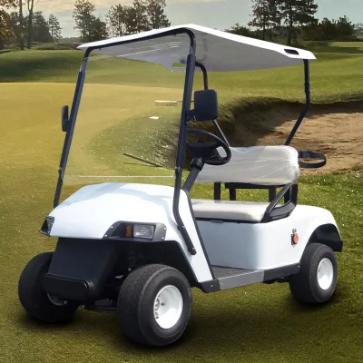 Certificación de calidad aprobada autobús turístico LSV Street Legal funcionamiento motorizado Campos de Golf para Zona de Playa todo terreno Coastal Community Hunting