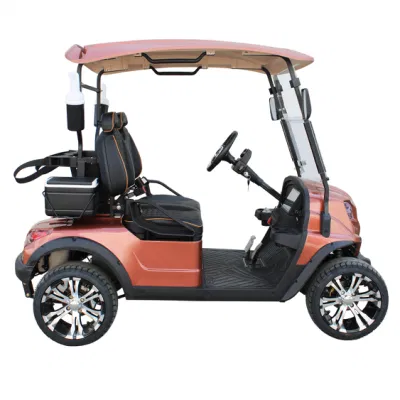 Nuevo Arriveal estilo D para socio exclusivo Nuevo diseño Wh2022K Fábrica 2 asientos de autobús turístico carrito eléctrico Golf Buggy Coche de caza