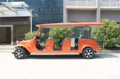 220V vehículos de transporte desde/hasta el aeropuerto Carro del centro turístico eléctrico OEM aprobado por la CE Servicios