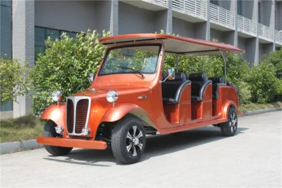 220V vehículos de transporte desde/hasta el aeropuerto Carro del centro turístico eléctrico OEM aprobado por la CE Servicios