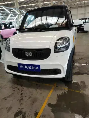2022 Nuevo modelo de vehículo eléctrico de 4kw para pasajeros, modelo H6 con batería de LiFePO4.