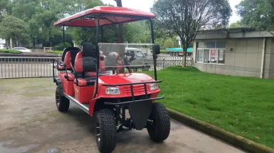 Carro de gasolina de color brillante 4 6 plazas que se utiliza el icono Gas carritos de Golf/ Eléctrica carro de golf