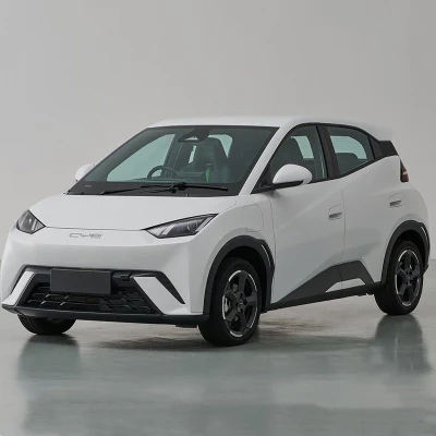 2023 Nueva Energía eléctrica pura Legal de la calle Nueva Energía vehículos Byd Gaviota EV a la venta de coches