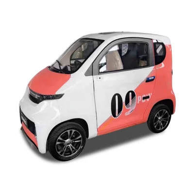 Nueva llegada EEC Coc 4 rueda cerrada Mini personal Electric Vehículo de servicio público para la venta