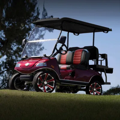 Carrito de Golf de 4 plazas con compartimentos grandes coche eléctrico Rueda de 14 pulgadas