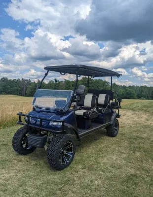 Carrito de Golf de descuento de Niza de fábrica directa con poder fuerte Y batería de litio