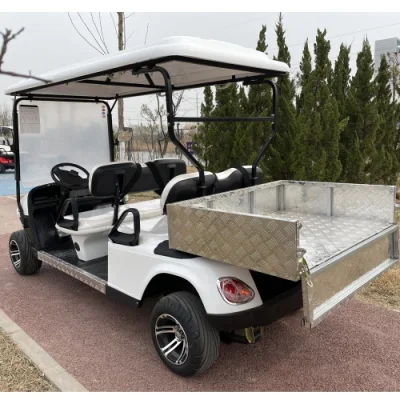 Carrito de golf 6 asientos de vehículos de turismo eléctrico