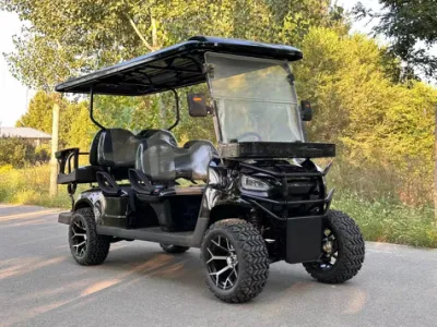 Nuevo producto Mini Golf Cart 48V 60V Custom Electric off Carros de golf para el concesionario