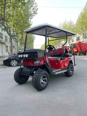 Suspensión independiente aluminio bastidor pedal de aluminio Carro de Golf eléctrico con Medidor profesional