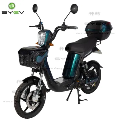 2 más populares de la carretera de la rueda de 500W potente movilidad bicicleta eléctrica para la Juventud