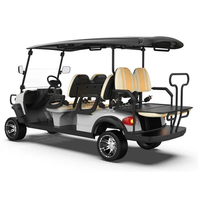 Terrfic bonito 5kw carros eléctricos del vehículo Buggy Buggies Carrito de golf