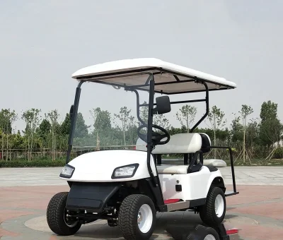 4-Wheel-Drive-Gas-Golf-Cart Green Power Programmer Motor de gasolina Calle Legal fuera de carretera Carrito de Golf