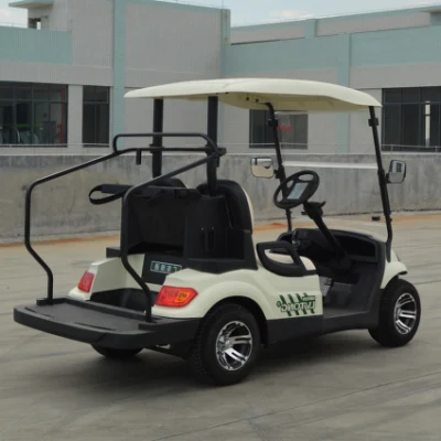 Calle Legal Club Cart 2 asientos Electric Car