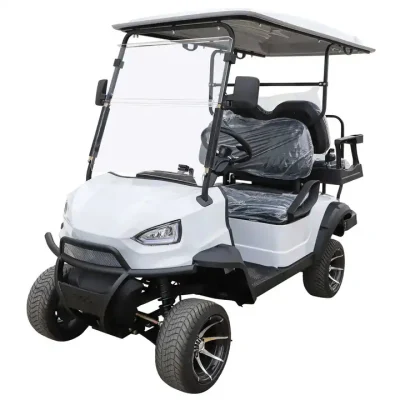 Custom 2+2 silla Mini en carretera eléctrico Golf Buggy Cart Con panel de control de pantalla grande