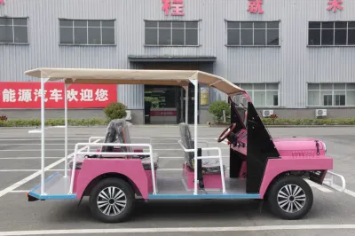 Rosa coche eléctrico Sightseeing Tour del vehículo alquiler de vehículo eléctrico