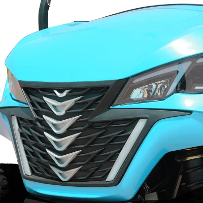 Buen servicio 20units/40HQ OEM Marca 3units/Crate China UTV Buggy Electric Carrito de Golf