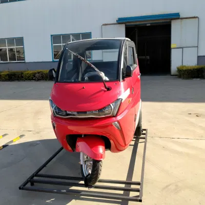 Nuevo coche eléctrico de 3 ruedas para Ancianos triciclo eléctrico con la CEE Coc Certificaciones