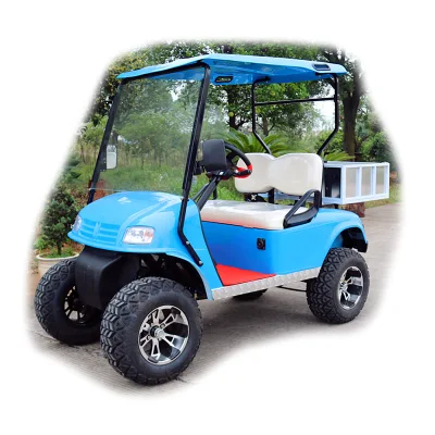 Campo Golf Cart 4 persona Electric Golf Cart Wholesale Golf Carritos Orlando Florida para la venta