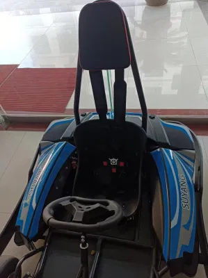 Cool adulto Karting Motor Cubo de 3000W Carrito de go karts carrera eléctrica