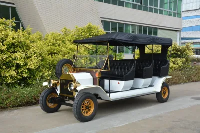 Club bonito coche accionado por batería eléctrica de carros de golf Golf Buggy coche clásico con la certificación CE