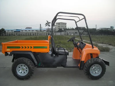 Durable de Golf de 2 personas, vehículos utilitarios con contenedor de tipo abierto