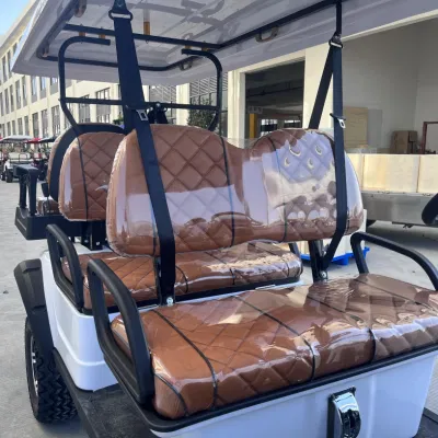Nuevo diseño Tourist 6 Passenger Utility Carts White Hunting Gas Carrito de Golf