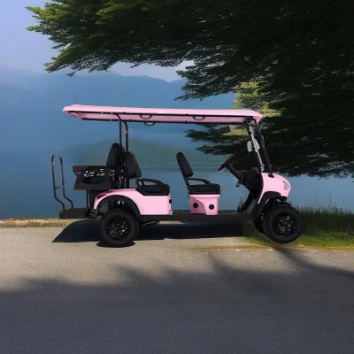 Nueva tendencia 6 asientos de alto rendimiento Ace H4+2 Electric Golf Carro