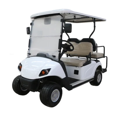Carros de Golf baratos de Proveedor con batería de litio