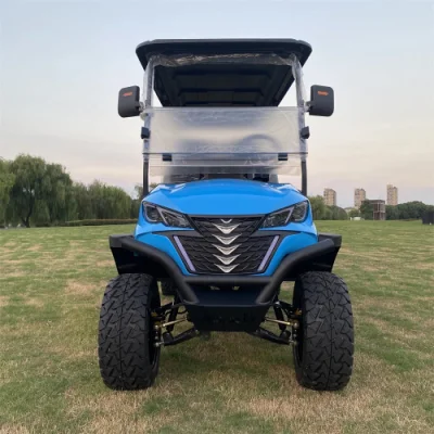Tiene artículos listos para visitar 4X4 carrito de golf eléctrico