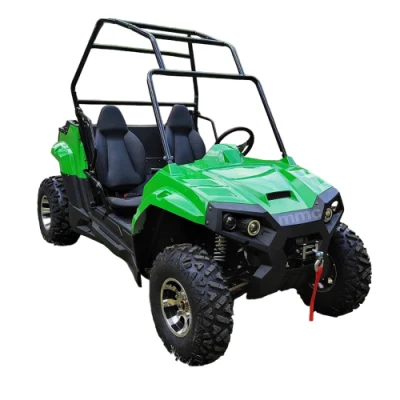 MMC batería de litio todo terreno eléctrico UTV Go-Kart coche turístico con Caja de carga
