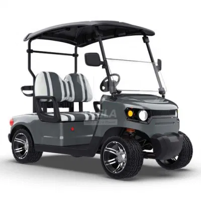 Ulela Advanced EV Golf Cart Distribuidores de accionamiento eléctrico trasero Carrito de Golf 4 asientos China 2 asientos Gran Carrito de Golf