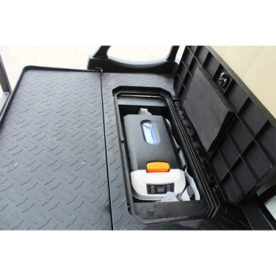 Marshell Nuevo coche eléctrico con 6 asientos vehículo eléctrico Coche de Golf de batería de litio Cochecitos de Golf Cart con protector de viento CE para uso comercial (DH-M4+2)