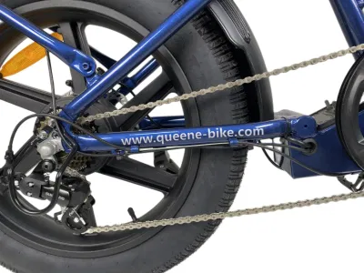 Fabricante de bicicletas E Jinhua personalizada nueva grasa eléctrico del motor del vehículo eléctrico bicicletas
