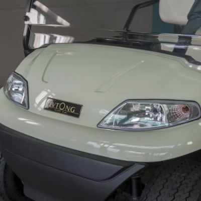 2 navegantes eléctricos motorizado fuera de camino Caza Golf Buggy Cart
