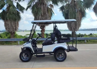 China Proveedor de Golf Cart Custom 2 4 6 plazas movilidad Scooter Golf vehículos utilitarios del coche