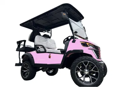 China Fabricación Eléctrica Mini Golf Cart Factory Ventas directas Caza Carro Cartgolf