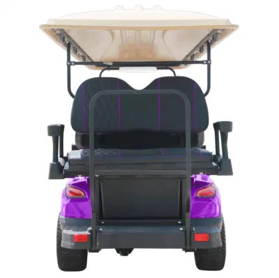 5000W Cochecitos/Golf Dachi Acero Marco 4330*1200*1900 litio Powered Golf Carts