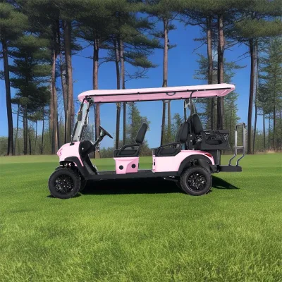 Nueva tendencia 6 asientos de alto rendimiento Ace H4+2 Electric Golf Carro