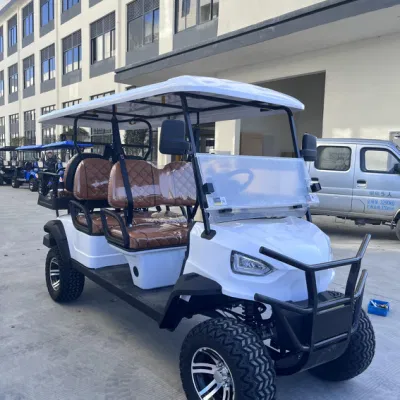 Nuevo diseño Tourist 6 Passenger Utility Carts White Hunting Gas Carrito de Golf
