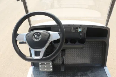 Champagne 4 + 2 asientos pasajeros de diferentes colores de Seguridad turística Coche Caza eléctrico Golf Cart/Buggy Precio con batería de plomo ácido y. Batería de litio