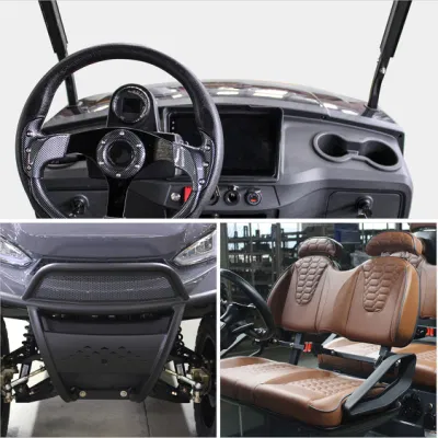Nueva llegada 6 plazas elevado carrito de golf personalizado de alta calidad Best Street Legal Golf Cart