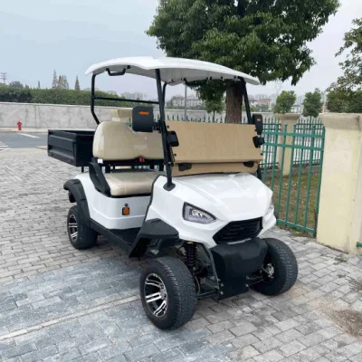 Mejor venta de kart eléctrico, primera Marca OEM Club Carro de Golf con caja Precio asequible