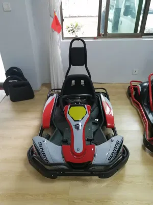 Diseño de Moda 2000W Carreras eléctricas rápidas Go Kart para adultos