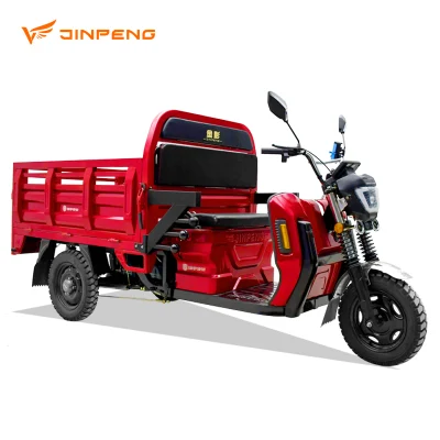 Dls150 PRO China Suministro de Triciclo Eléctrico Nuevos Recursos de Energía Vehículo de Tres Ruedas Cargador Eléctrico de Alta Calidad para Carga Personalización Básica.