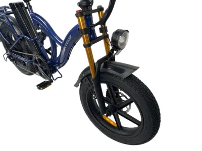 Fabricante de bicicletas E Jinhua personalizada nueva grasa eléctrico del motor del vehículo eléctrico bicicletas