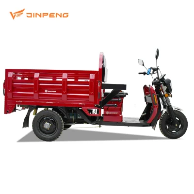Dls150 PRO China Suministro de Triciclo Eléctrico Nuevos Recursos de Energía Vehículo de Tres Ruedas Cargador Eléctrico de Alta Calidad para Carga Personalización Básica.