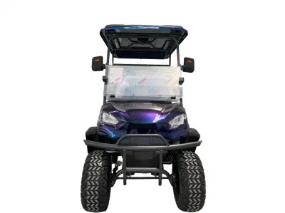 Carro de buggy de golf eléctrico Custom 2 Seat Mini On Road Con panel de control de pantalla grande