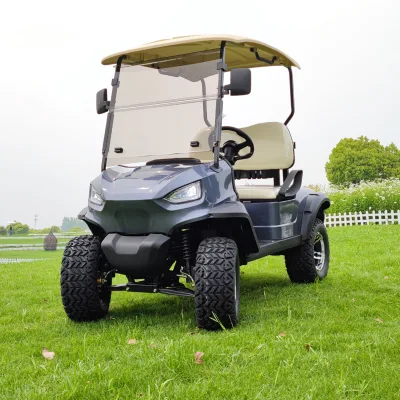 Mini Scooter eléctrico mayorista chino personalizado levantó los carritos de golf